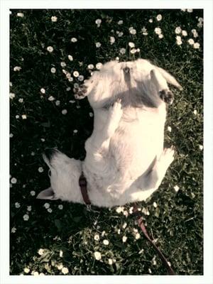 photo of Jennifer A.