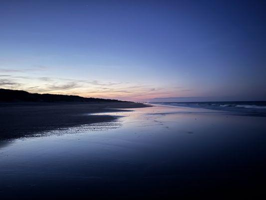 photo of Christina D.