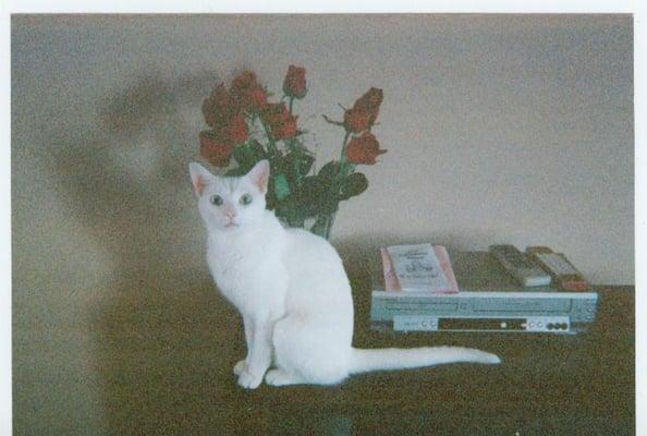 Photo of Dave N.