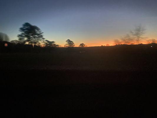 Photo of Ansley T.