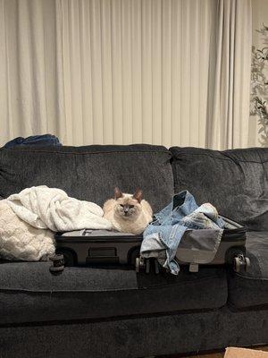 Photo of Francesca W.