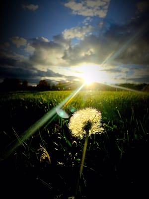 photo of Jennifer P.