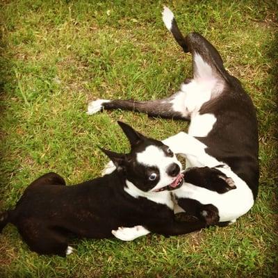 photo of Jennifer B.