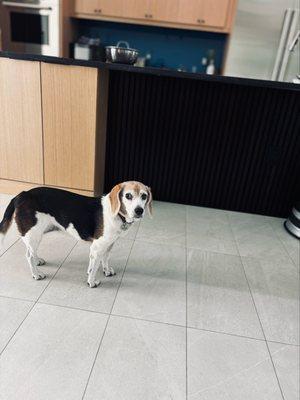 photo of Alexander C.