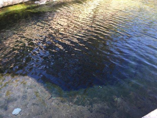 Photo of Sarathai O.