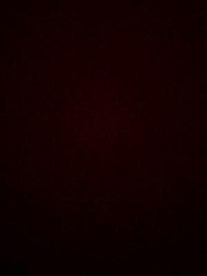 photo of Official Master 9.