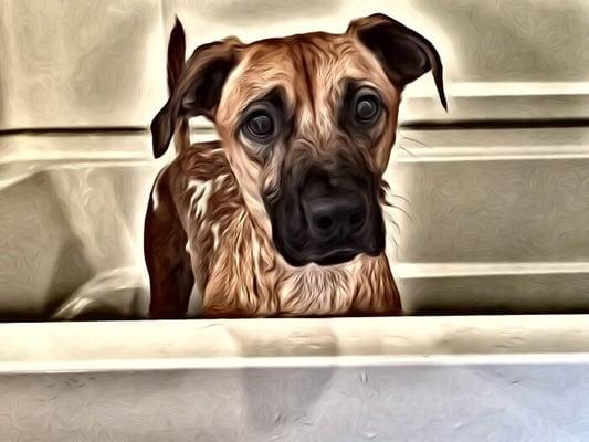 photo of Stephanie B.