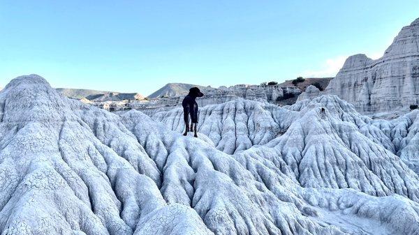 photo of Christina A.