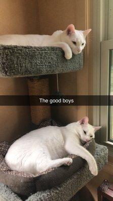 photo of Elizabeth A.