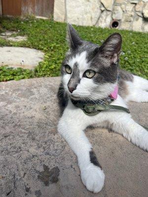 photo of Cheyenne V.