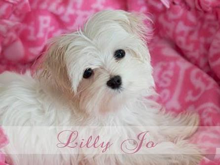 photo of Cathy E.
