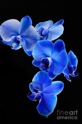 photo of Jennifer M.