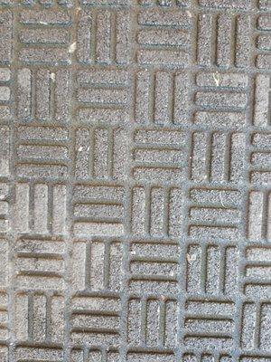 photo of Fernando L.