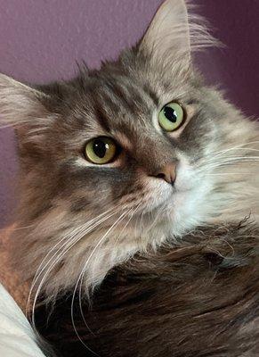 Photo of Madeleine P.