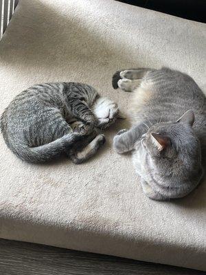 photo of Samantha S.