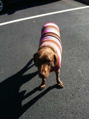 photo of Michelle M.