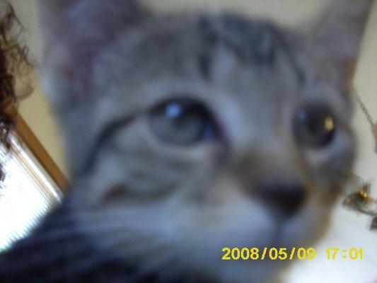 Photo of Kitty S.