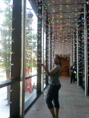 Photo of Tosha R.