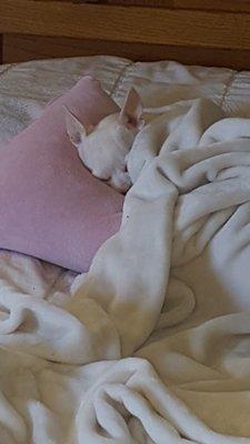 photo of La Serena L.