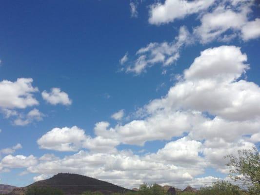 photo of Desireá A.