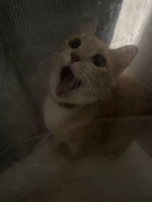 photo of Julianna S.