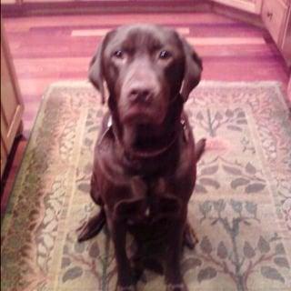 photo of Steffanie N.