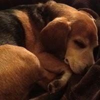 photo of Margaret T.