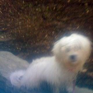 photo of Mary Anne W.