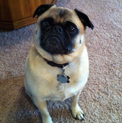 photo of Kristina S.