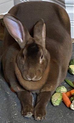 photo of Danielle F.