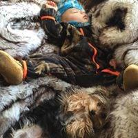 photo of Sara T.