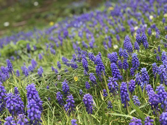 photo of Mary Ann H.