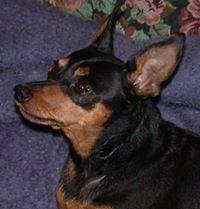 Photo of Merry M.