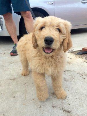 photo of Jennifer P.