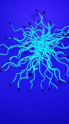 photo of Meredith M.