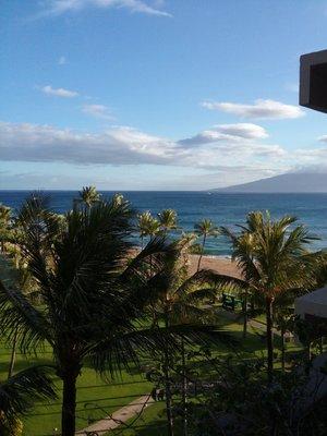 Photo of Campbell P.