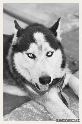 Photo of Yadira H.