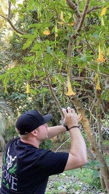 photo of Nicholas M.