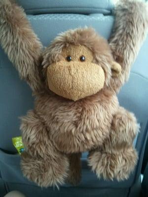 photo of Guerlain P.