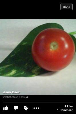 Photo of Jana B.