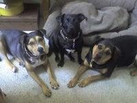 photo of Michelle M.