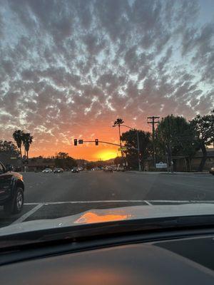 photo of Kimberly O.