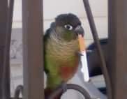 photo of Patricia H.