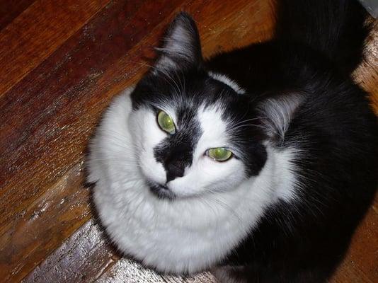 photo of Jane says... x.