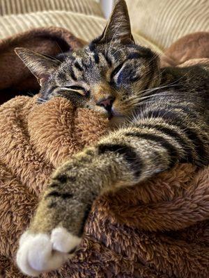 photo of Savannah E.