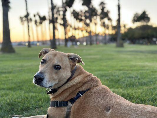 photo of Veronica M.