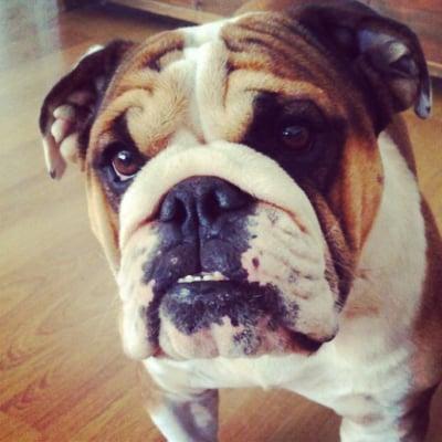 photo of Alexandra G.