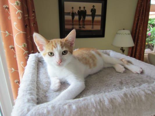 Photo of Wendy K.