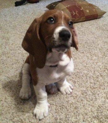 photo of Katherine S.