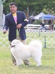 Photo of Don M.